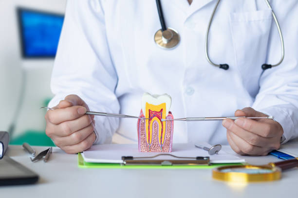 Best Urgent Care for Lost Fillings or Crowns in Wales, WI